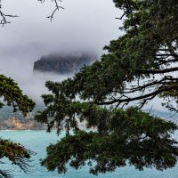 *** :: Дмитрий Лупандин