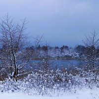 В окрестностях Калининграда :: Рита Симонова