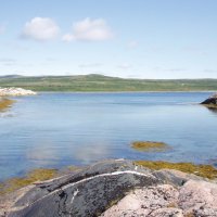 Бухта :: Андрей C