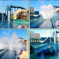 Адлер. Сочи Парк... :: Нина Бутко