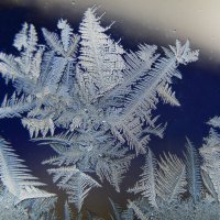 Фантазия Мороза - чудо сказка на окне... :: Надежда Куркина 