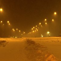 Метель в январе :: Andrej Guz