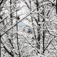 домик голубой мечты... :: Галина Флора