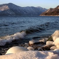 Телецкое озеро (берег Яйлю) :: елена беликова