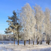 Зима :: Сергей 