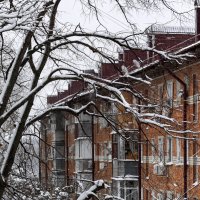 Зима в Краснодаре :: Игорь Протасов