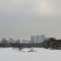 Пейзаж с мостиком. Зависание над снегом. :: Любимова Ольга 