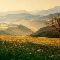 spring :: Elena Wymann