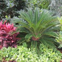 Лето в Москва :: Дмитрий Никитин