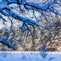 погожий денек :: Артём 