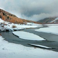 Бочки :: Виктор Фоменко