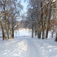Смоленская область в январе. :: Милешкин Владимир Алексеевич 