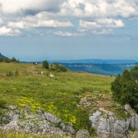 Плато Лаго - Наки :: Игорь Сикорский