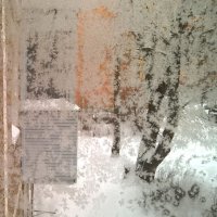 Морозно :: Елена Семигина