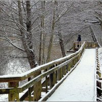 *** :: Aleksandr Gal