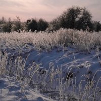 Морозит :: В.И 