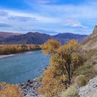 Катунь осенняя в Чемале :: елена беликова