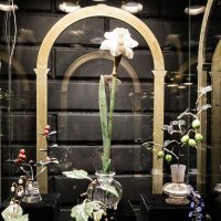 Шедевры ювелирного искусства :: Ирина Соловьёва