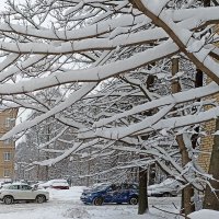 Зима рисует снегом! :: Лилия *