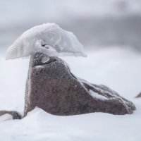 Улыбочка :: Марина Фомина.