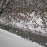 Речка Лихоборка в январе :: Дмитрий Никитин