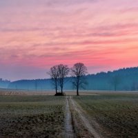 morning :: Elena Wymann