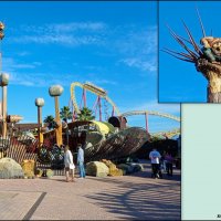 Адлер. Сочи Парк... :: Нина Бутко