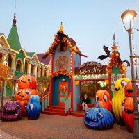 Адлер. Сочи Парк... :: Нина Бутко