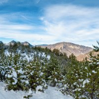 Горный Дагестан. Январь 2026 :: Дина Евсеева