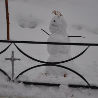 Символ зимы :: Татьяна Машошина