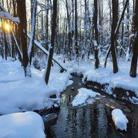 мой Крещенский сочельник :: Андрей Лукьянов