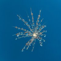 *** :: Виктор Иванович Чернюк