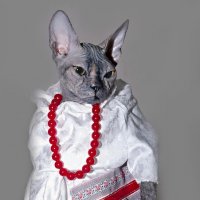 Фото с выставки. :: Светлана Ищенко