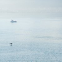 Утро :: **** vedin