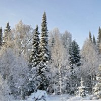 Зимушка-зима :: Галина Кан