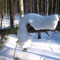 Февраль...Снежная улитка! :: Владимир