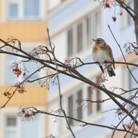 Кто не успел, тот опоздал :: Валерий Иванович