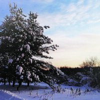 Зимняя красота :: Людмила Смородинская