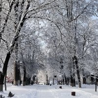 Стародуб. В городском парке. :: Ольга 