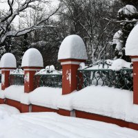 Москва. Воронцовский парк. После снегопада. :: Наташа *****