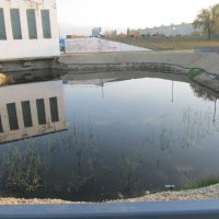 на набережной :: Елена Шаламова