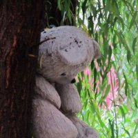 Мишку бросила хозяйка :: Елена Шаламова