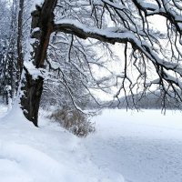 Моя Смоленщина. :: Милешкин Владимир Алексеевич 