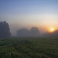 Утро. :: Александр. AVG100 ---