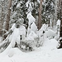 прогулка :: Владимир 