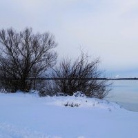 Калининградский залив и побережье :: Рита Симонова