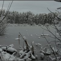 *** :: Aleksandr Gal