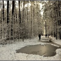 *** :: Aleksandr Gal