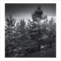 * :: Александр Иванов