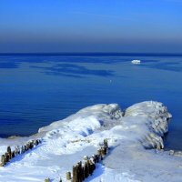 Обледенели :: Сергей Карачин